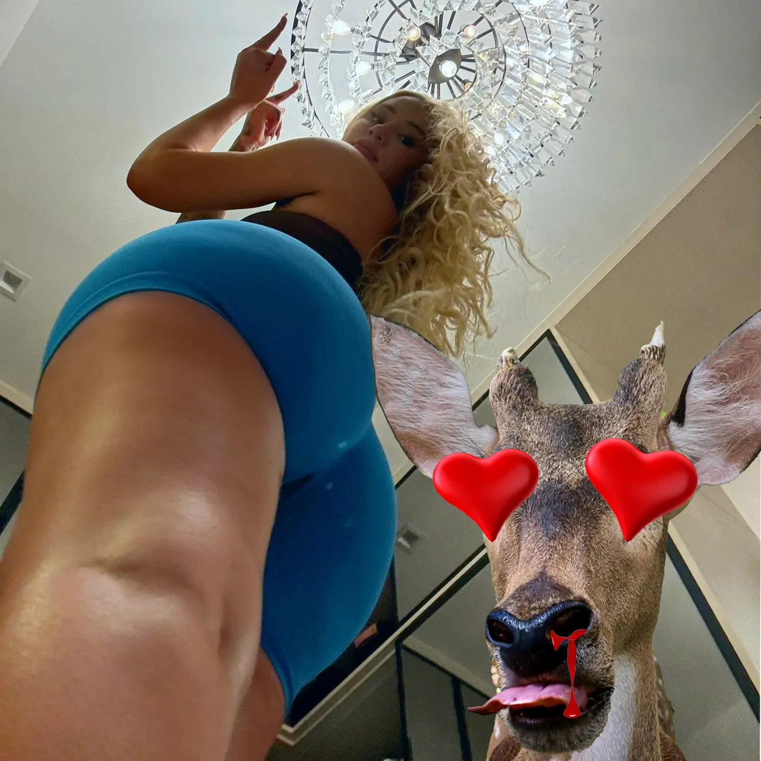 Deer Loves Iggy